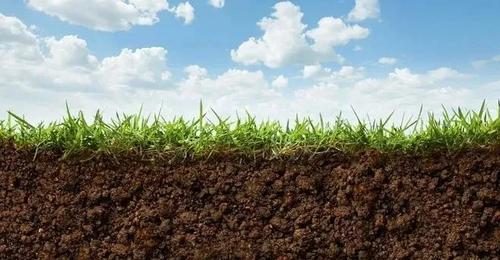改良土壤作用另外还有将微生物肥料作为土壤净化剂使用.